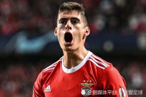 贝博体育-包含勒沃库森赛后豪取连胜，志在葡超名次提升，赛场秩序良好，赛季目标并未改变的词条-贝博体育